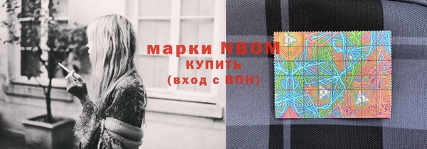 крисы Алзамай
