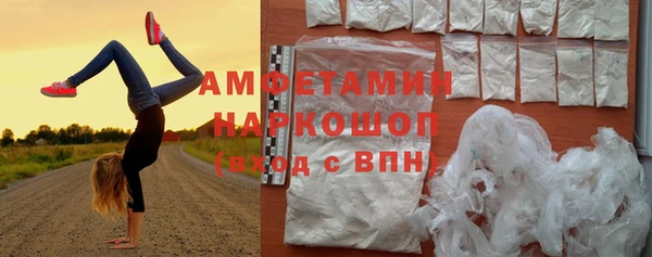 крисы Алзамай
