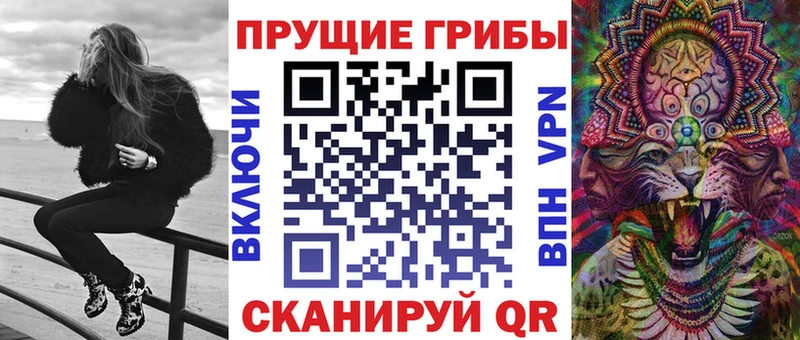 мега рабочий сайт Ставрополь Галлюциногенные грибы Psilocybine cubensis